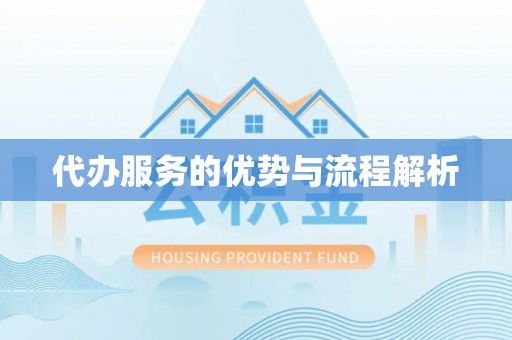 蒙阴代办服务的优势与流程解析