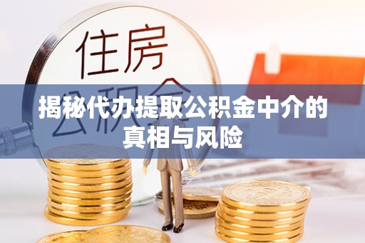 蒙阴揭秘代办提取公积金中介的真相与风险