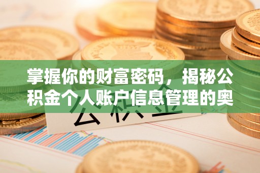 蒙阴掌握你的财富密码，揭秘公积金个人账户信息管理的奥秘