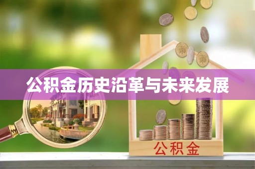 蒙阴公积金历史沿革与未来发展