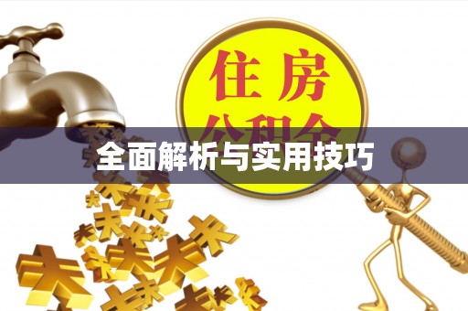 蒙阴全面解析与实用技巧