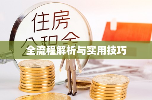 蒙阴全流程解析与实用技巧