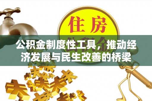 蒙阴公积金制度性工具，推动经济发展与民生改善的桥梁