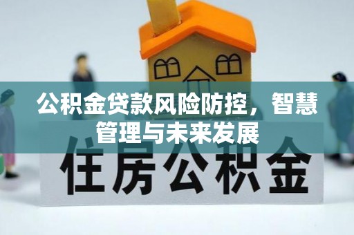 蒙阴公积金贷款风险防控，智慧管理与未来发展