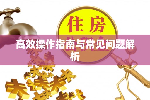 蒙阴高效操作指南与常见问题解析