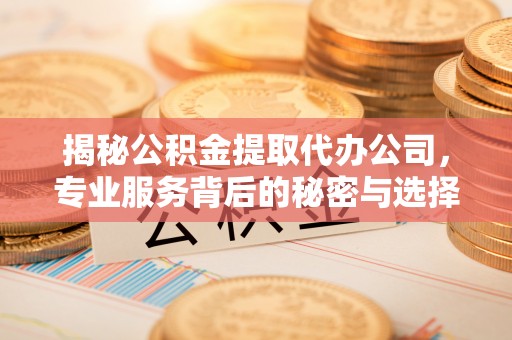 蒙阴揭秘公积金提取代办公司，专业服务背后的秘密与选择指南