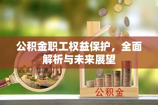 蒙阴公积金职工权益保护，全面解析与未来展望