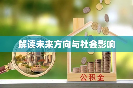蒙阴解读未来方向与社会影响