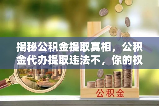 蒙阴揭秘公积金提取真相，公积金代办提取违法不，你的权益如何保障？