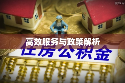 蒙阴高效服务与政策解析