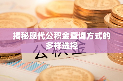 蒙阴揭秘现代公积金查询方式的多样选择
