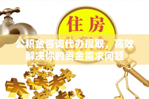 蒙阴公积金咨询代办提取，高效解决你的资金需求问题