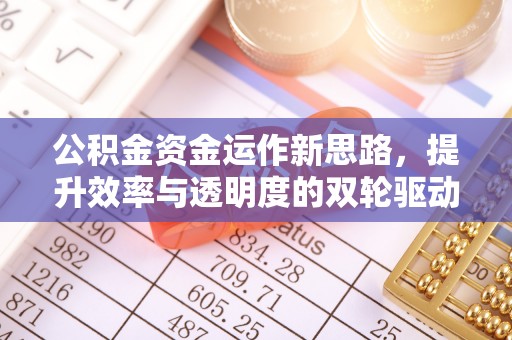 蒙阴公积金资金运作新思路，提升效率与透明度的双轮驱动