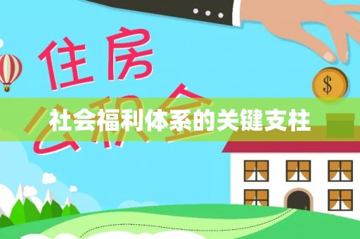 蒙阴社会福利体系的关键支柱