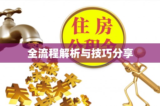 蒙阴全流程解析与技巧分享