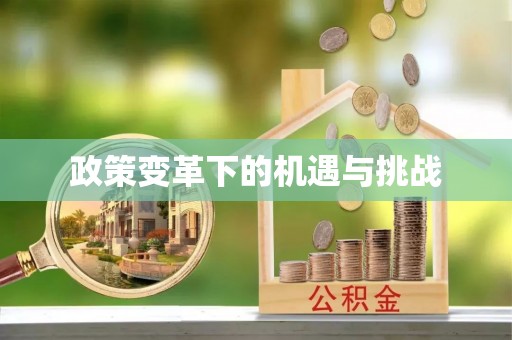 蒙阴政策变革下的机遇与挑战