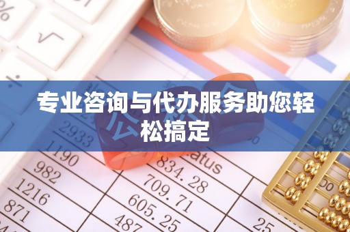 蒙阴专业咨询与代办服务助您轻松搞定