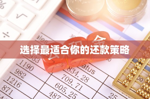 蒙阴选择最适合你的还款策略