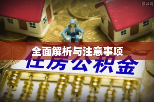 蒙阴全面解析与注意事项