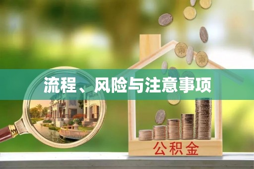 蒙阴流程、风险与注意事项