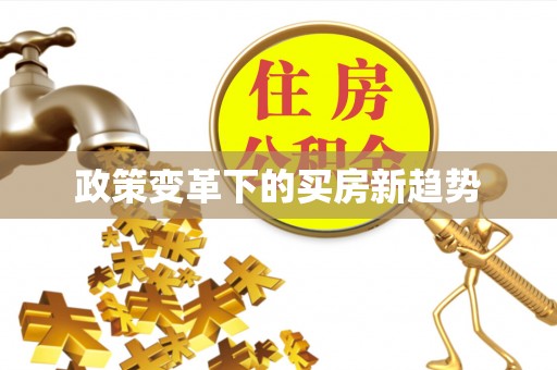 蒙阴政策变革下的买房新趋势