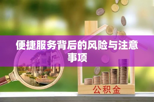蒙阴便捷服务背后的风险与注意事项